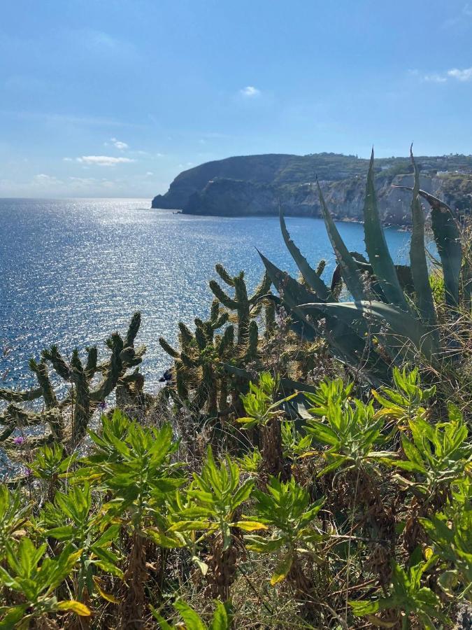 B&B Lodge Dell'Ospite Ischia Casamicciola Terme Dış mekan fotoğraf