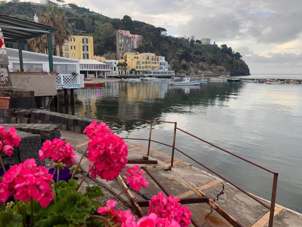 B&B Lodge Dell'Ospite Ischia Casamicciola Terme Dış mekan fotoğraf