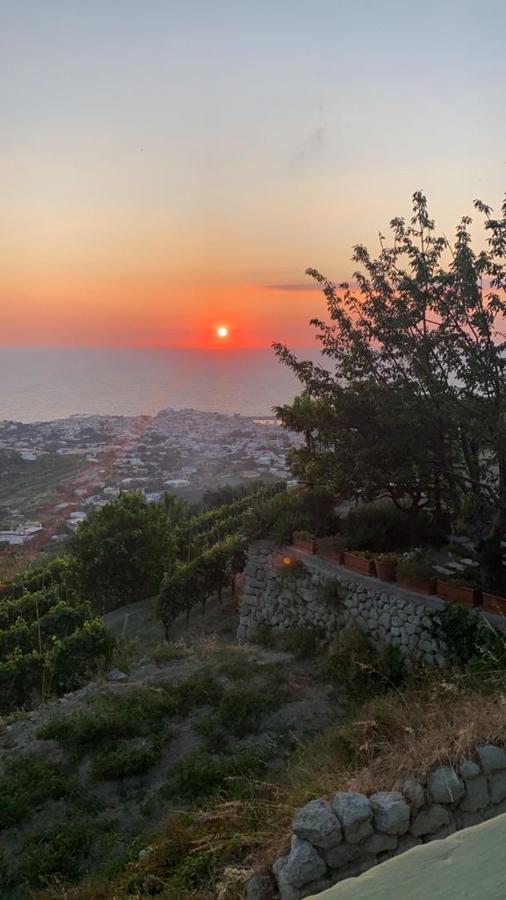 B&B Lodge Dell'Ospite Ischia Casamicciola Terme Dış mekan fotoğraf