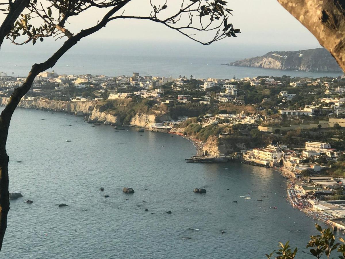 B&B Lodge Dell'Ospite Ischia Casamicciola Terme Dış mekan fotoğraf