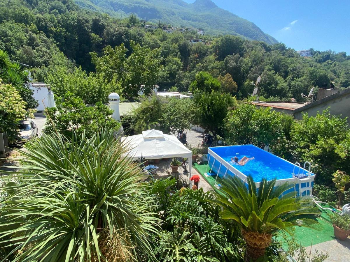 B&B Lodge Dell'Ospite Ischia Casamicciola Terme Dış mekan fotoğraf