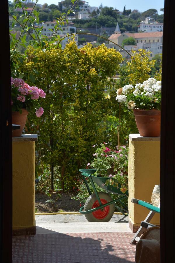 B&B Lodge Dell'Ospite Ischia Casamicciola Terme Dış mekan fotoğraf